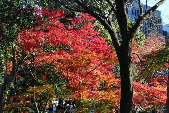 日比谷公園
